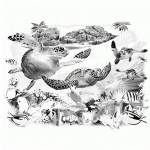 костенурки соларна тениска